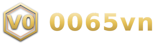0065vn logo